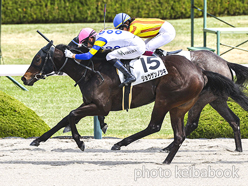 カラーパネル2024年4月7日阪神1R 3歳未勝利(ジョウゲンノツキ)