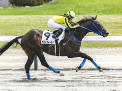 カラープリント(アルミ枠なし)2024年5月5日新潟6R 4歳以上1勝クラス(サヨノフィールド)