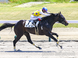 カラーパネル2024年5月11日新潟6R 3歳未勝利(アイズ)