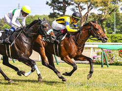 カラープリント(アルミ枠付き)2024年5月11日新潟10R 三国特別(エンファサイズ)