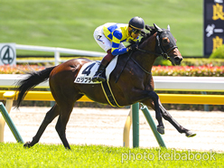 カラーパネル2024年5月18日東京4R 3歳未勝利(ロジプラヤ)