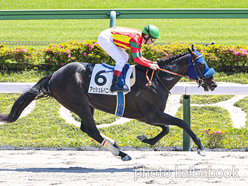 カラープリント(アルミ枠付き)2024年5月18日東京6R 3歳1勝クラス(アッシュルバニパル)