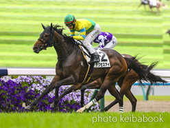 カラープリント(アルミ枠付き)2024年5月19日京都8R 4歳以上1勝クラス(サクセスアイ)