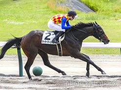 カラープリント(アルミ枠なし)2024年5月19日新潟3R 3歳未勝利(テーオーマーシャル)