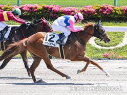 カラーパネル2024年5月25日東京6R 3歳1勝クラス(トウカイポワール)