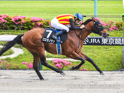 カラーパネル2024年5月25日東京11R 欅ステークス(コスタノヴァ)