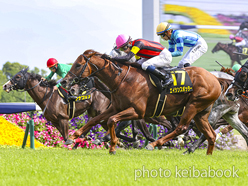 カラープリント(アルミ枠なし)2024年5月26日京都10R 安土城ステークス(エイシンスポッター)