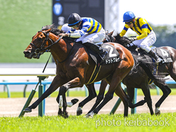 カラープリント(アルミ枠なし)2024年6月1日京都8R 聖護院特別(ドットクルー)