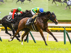 カラーパネル2024年6月15日東京11R 多摩川ステークス(ミシシッピテソーロ)