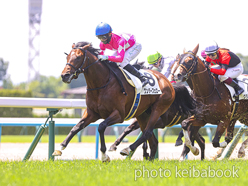 カラープリント(アルミ枠なし)2024年6月16日京都4R 3歳未勝利(ワンダーフェロー)