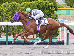 カラープリント(アルミ枠なし)2024年6月16日函館3R 3歳未勝利(バッファローライズ)