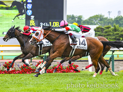 カラーパネル2024年6月16日函館12R 3歳以上1勝クラス(ポエットリー)