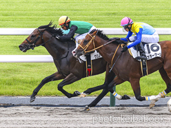 カラープリント(アルミ枠付き)2024年6月22日京都8R 3歳以上1勝クラス(クリノキングマン)