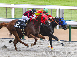 カラーパネル2024年6月22日東京10R 日野特別(アッシュルバニパル)