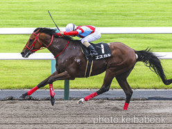 カラーパネル2024年6月23日京都12R リボン賞(エスカル)