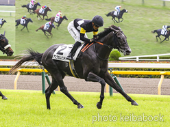 カラーパネル2024年6月23日東京7R 3歳以上1勝クラス(アスクカムオンモア)