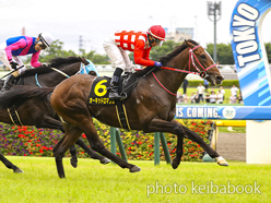 カラーパネル2024年6月23日東京11R パラダイスステークス(オーキッドロマンス)