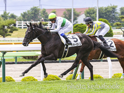 カラープリント(アルミ枠付き)2024年6月23日函館5R 2歳新馬(ヤンキーバローズ)