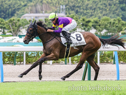 カラープリント(アルミ枠なし)2024年6月29日小倉5R 2歳新馬(エイヨーアメジスト)