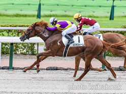 カラープリント(アルミ枠付き)2024年6月29日小倉6R 2歳新馬(コスモストーム)