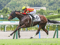 カラープリント(アルミ枠付き)2024年6月29日小倉8R 3歳以上1勝クラス(カズミクラーシュ)