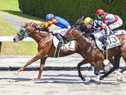 カラープリント(アルミ枠なし)2024年6月29日福島8R 3歳以上1勝クラス(スプレーフォール)