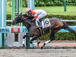 カラーパネル2024年6月30日小倉3R 3歳未勝利(トーレ)