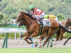 カラープリント(アルミ枠なし)2024年6月30日小倉6R 2歳新馬(ユメシバイ)