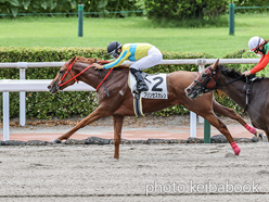 カラープリント(アルミ枠付き)2024年6月30日小倉7R 3歳以上1勝クラス(プリンセスカレン)