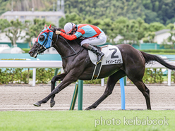 カラープリント(アルミ枠なし)2024年6月30日小倉8R 3歳以上1勝クラス(キャンシーエンゼル)