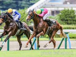 カラープリント(アルミ枠付き)2024年6月30日小倉9R 柳川特別(グランデサラス)