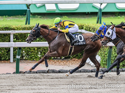 カラープリント(アルミ枠付き)2024年6月30日小倉10R 薩摩ステークス(レリジールダモーレ)