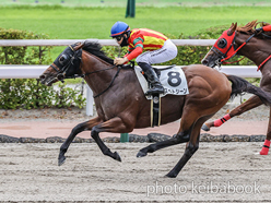 カラープリント(アルミ枠付き)2024年6月30日小倉12R 3歳以上1勝クラス(カズペトシーン)