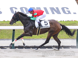 カラープリント(アルミ枠付き)2024年6月30日福島8R 3歳以上1勝クラス(アパイシュナール)