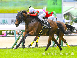 カラープリント(アルミ枠付き)2024年6月30日福島9R さくらんぼ特別(ヴィントミューレ)