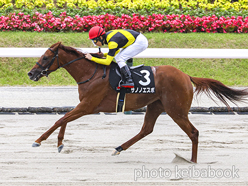 カラープリント(アルミ枠なし)2024年6月30日福島10R いわき特別(サノノエスポ)