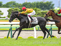 カラーパネル2024年6月30日函館6R 3歳未勝利(サラトガチップス)