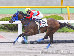 カラープリント(アルミ枠なし)2024年6月30日函館7R 3歳以上1勝クラス(エンセリオ)