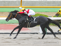 カラープリント(アルミ枠付き)2024年6月30日函館9R 竜飛崎特別(ダノンボレロ)