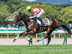 カラープリント(アルミ枠付き)2024年7月6日小倉1R 3歳以上障害未勝利(オオキニ)