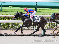 カラープリント(アルミ枠なし)2024年7月6日小倉3R 3歳未勝利(ヨシノヤッタルデー)