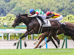 カラープリント(アルミ枠なし)2024年7月6日小倉6R 3歳未勝利(レザンクレール)