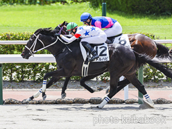 カラープリント(アルミ枠なし)2024年7月6日小倉7R 3歳未勝利(リトルハピ)