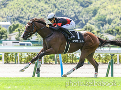 カラーパネル2024年7月6日小倉10R 西部スポニチ賞(メリオーレム)