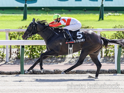 カラープリント(アルミ枠なし)2024年7月6日小倉11R 釜山ステークス(ダノンセシボン)