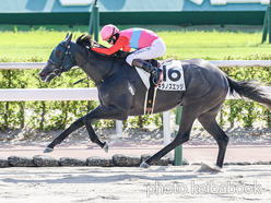 カラープリント(アルミ枠付き)2024年7月6日小倉12R 3歳以上1勝クラス(キタノズエッジ)