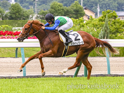 カラープリント(アルミ枠付き)2024年7月6日福島6R 2歳新馬(ミライヘノブーケ)