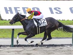 カラーパネル2024年7月6日福島7R 3歳未勝利(パリプラージュ)