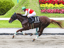 カラーパネル2024年7月6日福島11R 鶴ヶ城ステークス(ショウナンライシン)