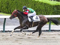 カラーパネル2024年7月6日福島12R 3歳以上1勝クラス(ゼウスビスティー)